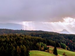 Untertreidner