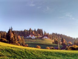 Untertreidner