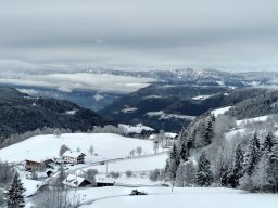 Untertreidner