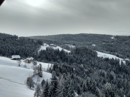 Untertreidner
